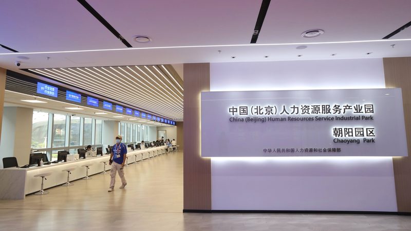 大厂背景调查：严格背后的考量与启示